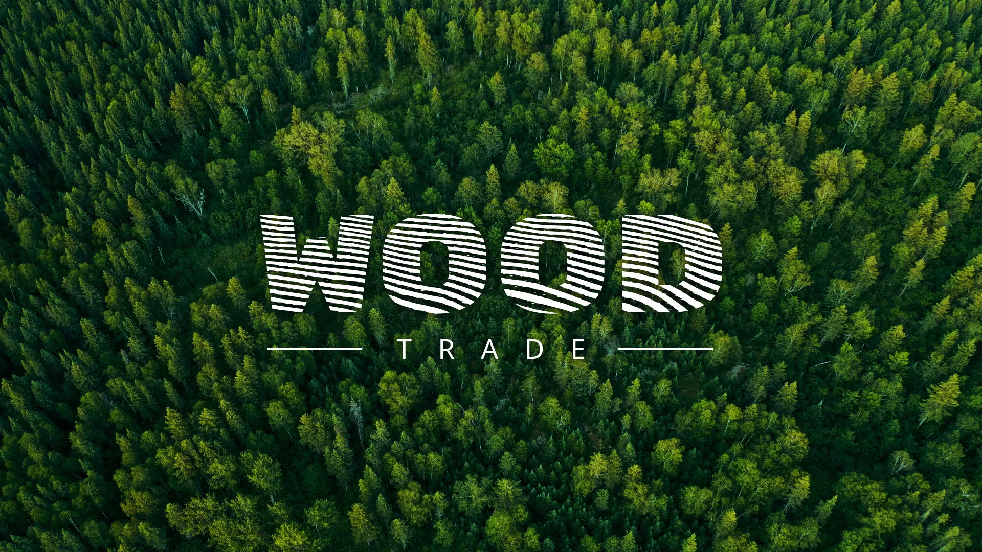 Разработка интернет-магазина компании «Wood Trade» в Агрызе
