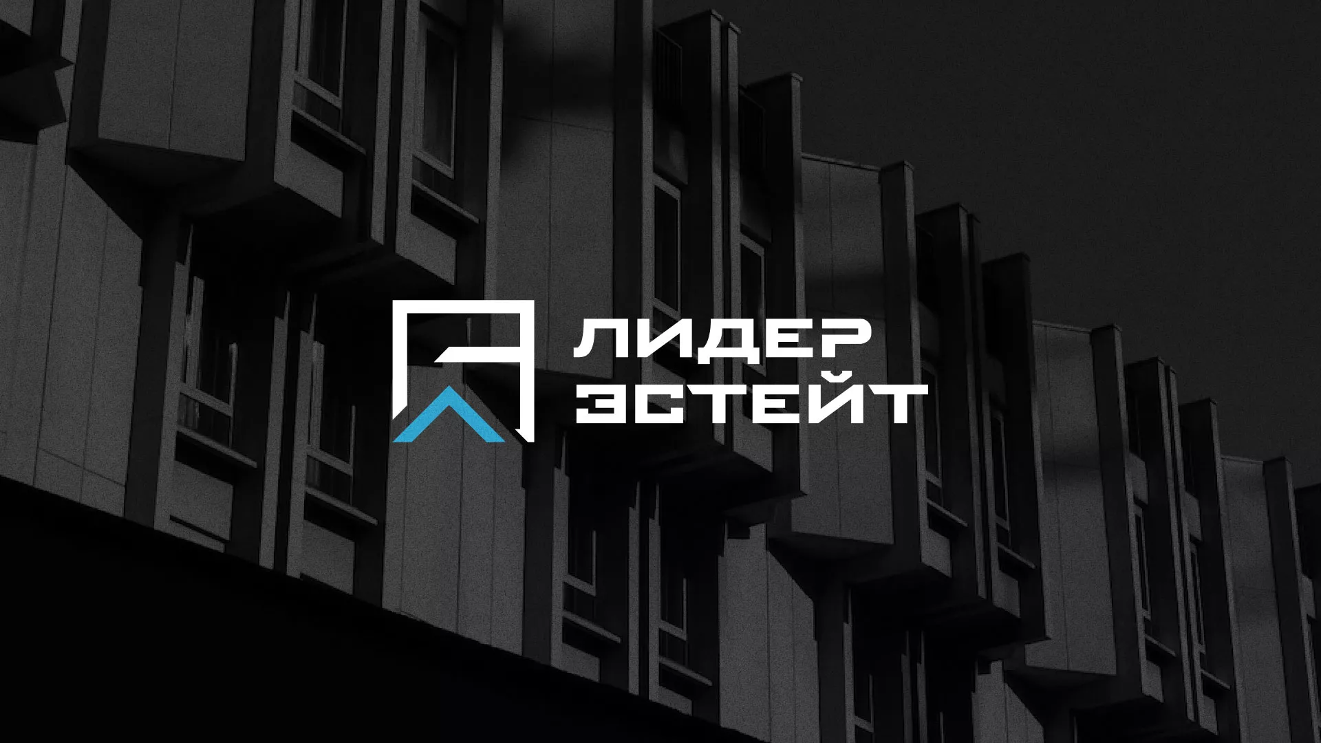 Разработка логотипа агентства недвижимости «Лидер Эстейт» в Агрызе