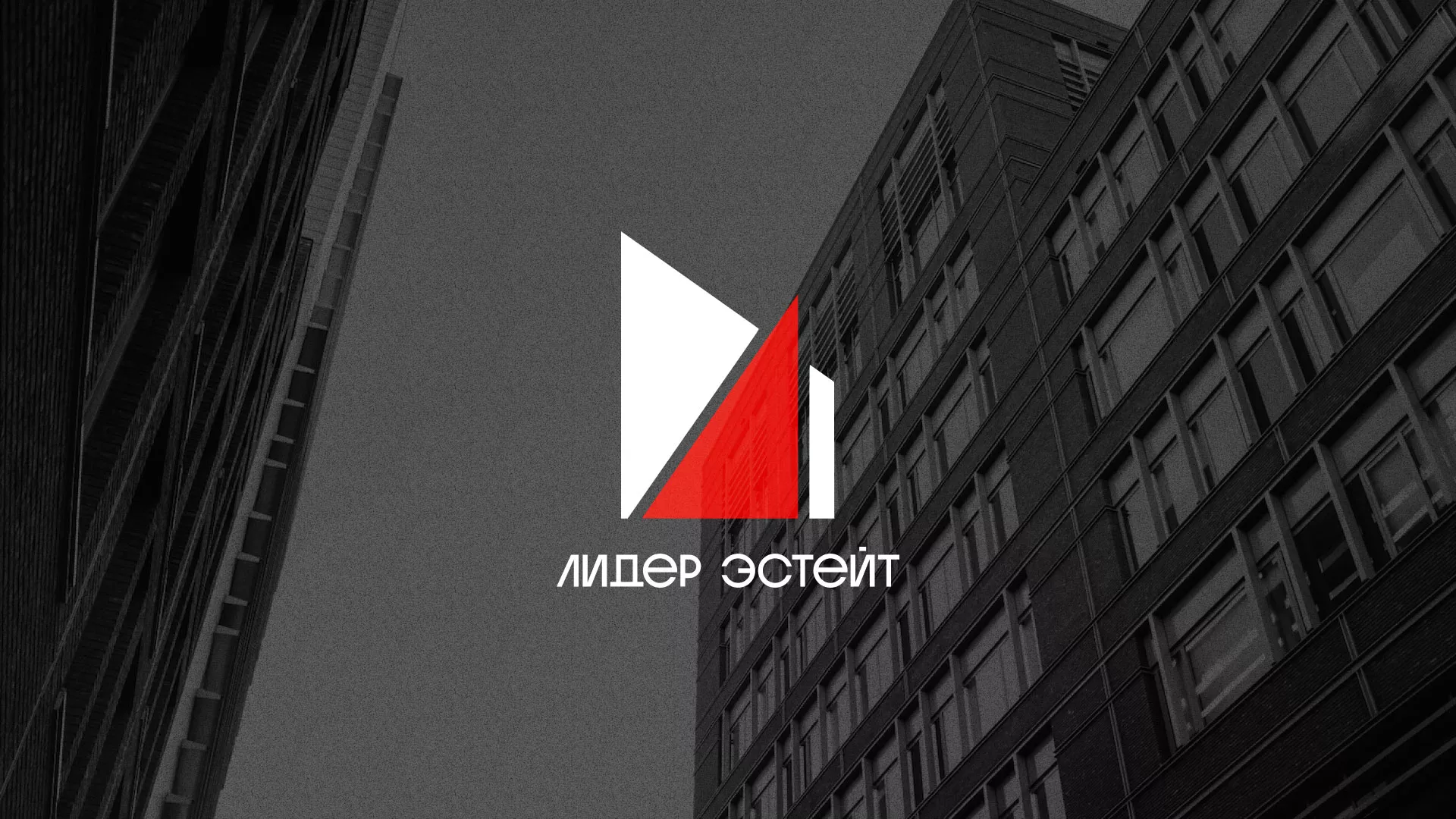 Сделали логотип для агентства недвижимости «Лидер Эстейт» в Агрызе